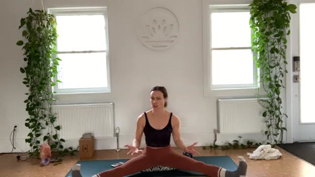 ZOOM: 20210120 - Mini Pilates Arms wi...