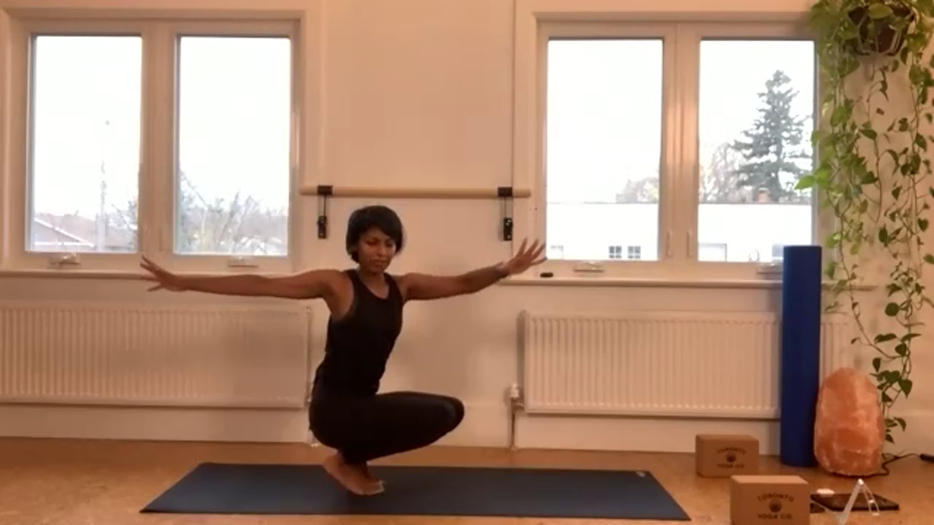 ZOOM: 20201113 - Vinyasa Flow with Caroline