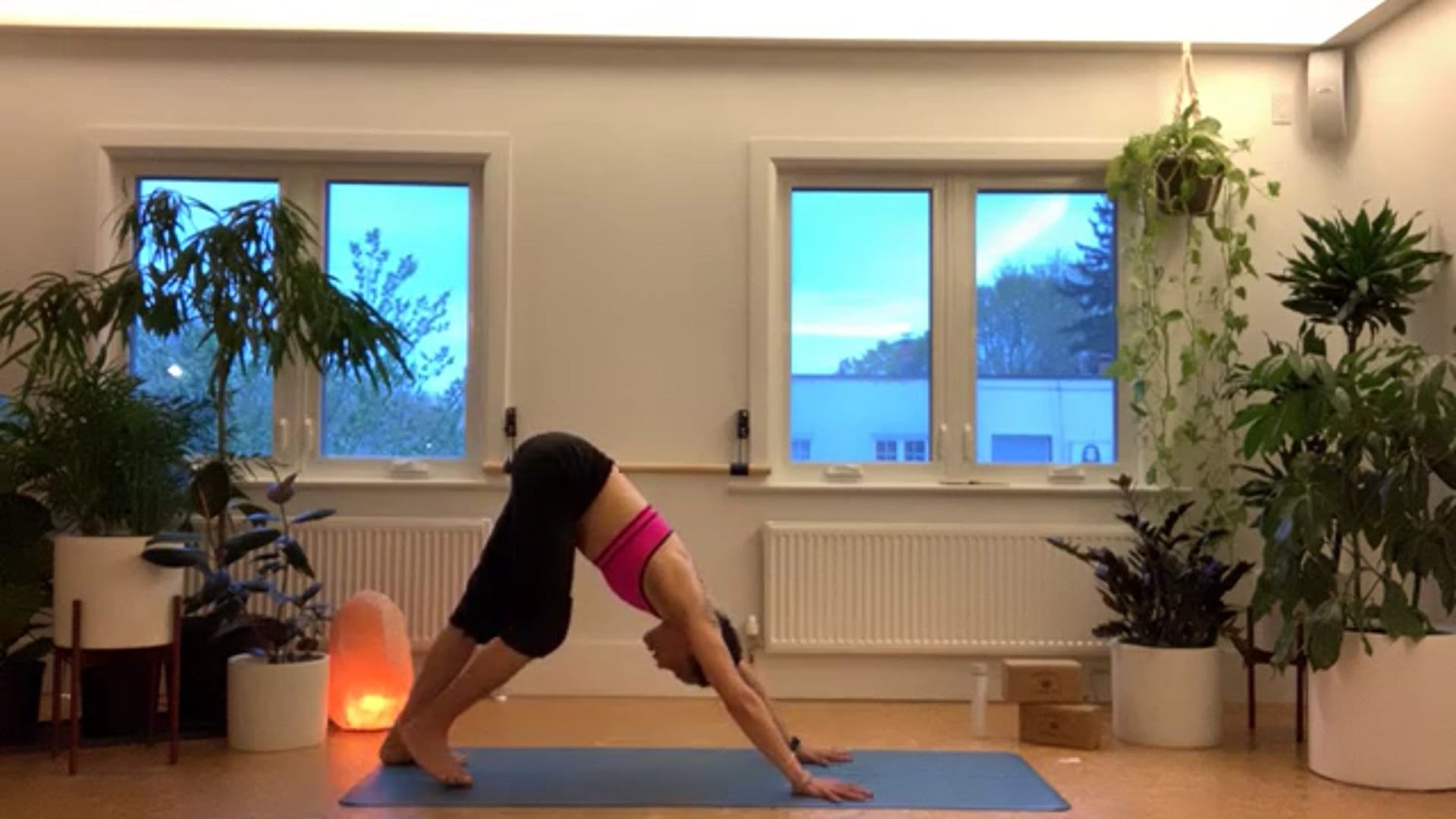 ZOOM: 20210427 - Ashtanga Half Primary with Tracy