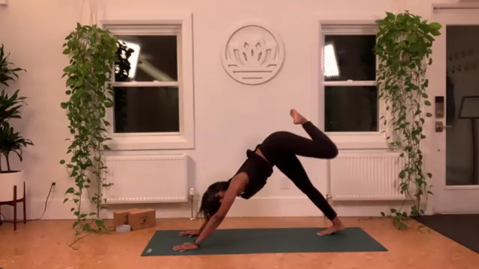 ZOOM: 20201203 - Vinyasa Flow with Caroline