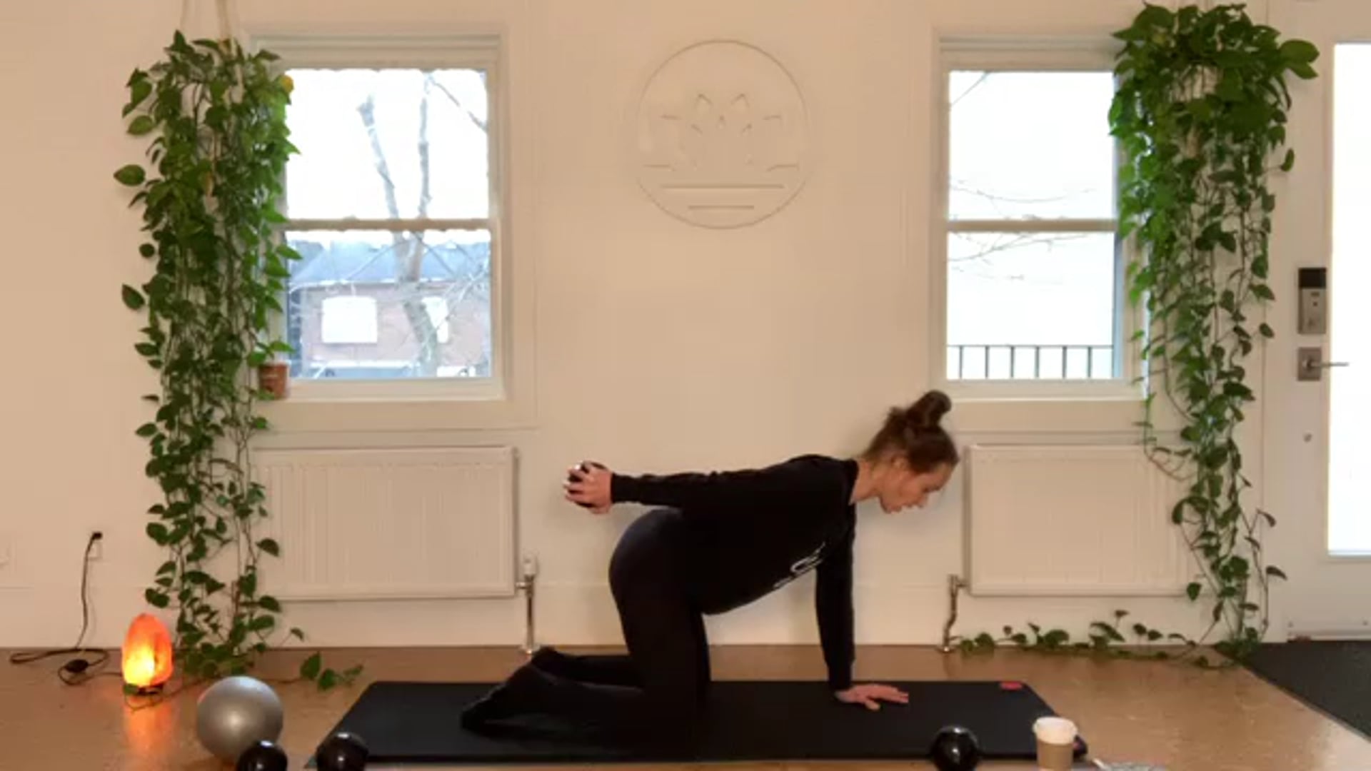 ZOOM: 20210113 - Mini Pilates Arms with Stacy