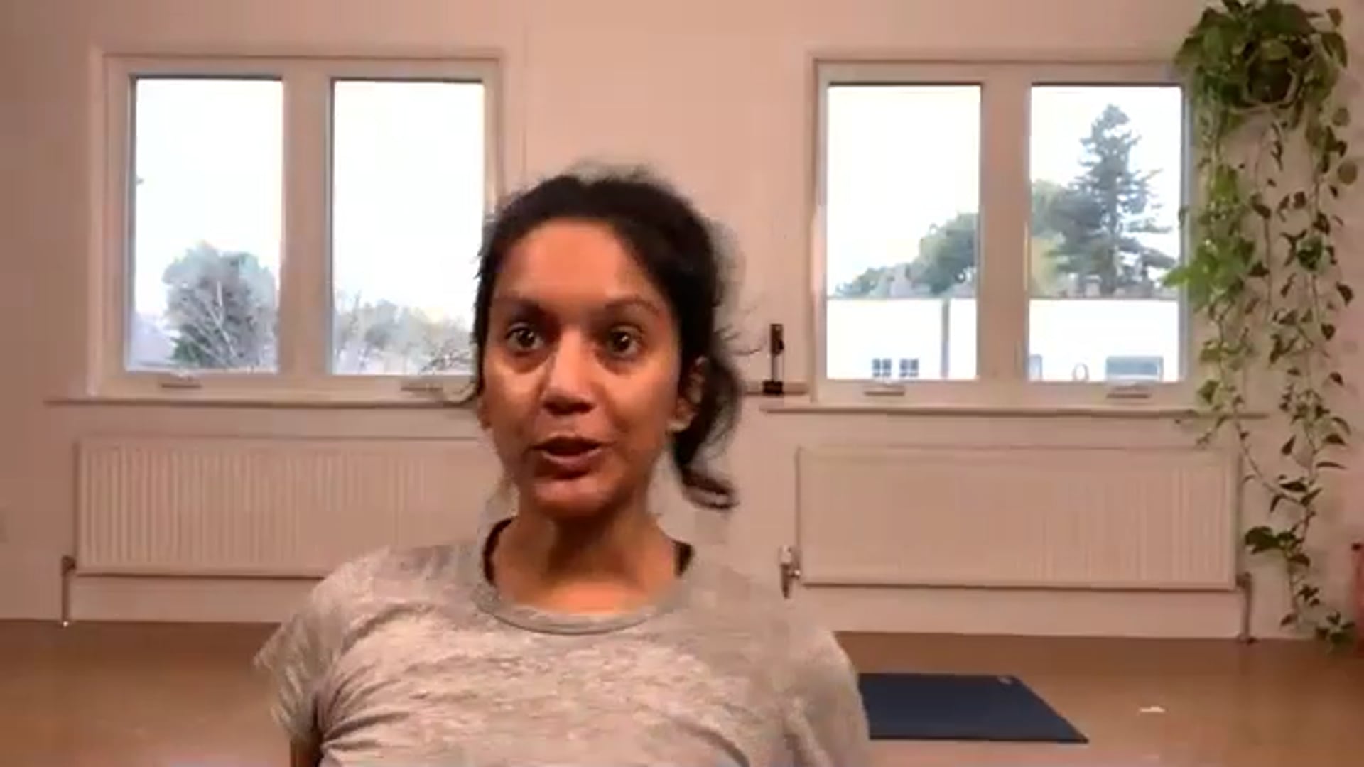 ZOOM: 20201030 - Vinyasa Flow with Leisha