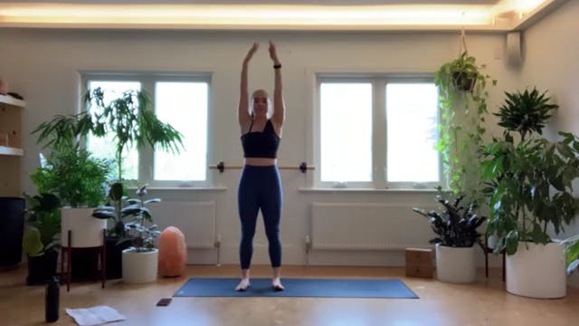 ZOOM: 20210428 - Pilates with Brianna