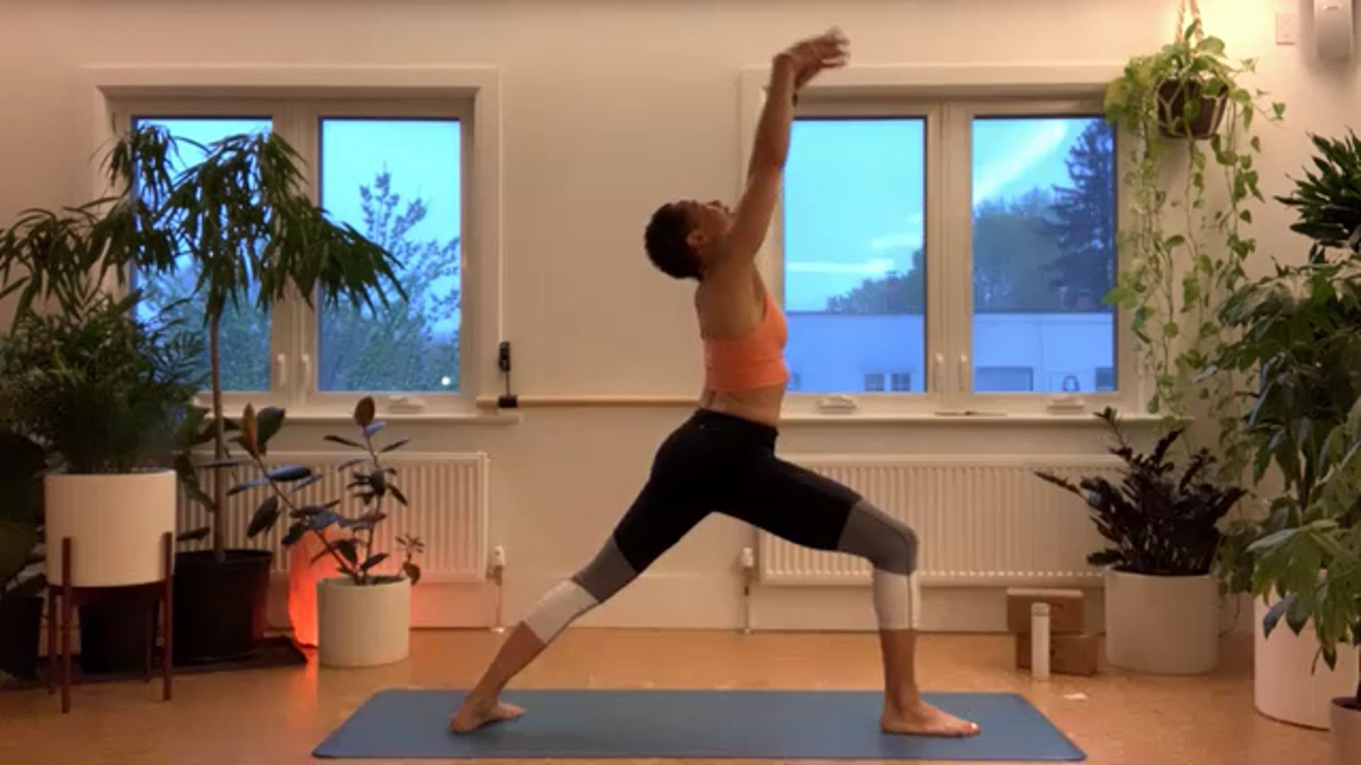 ZOOM: 20210504 - Ashtanga Half Primary with Tracy