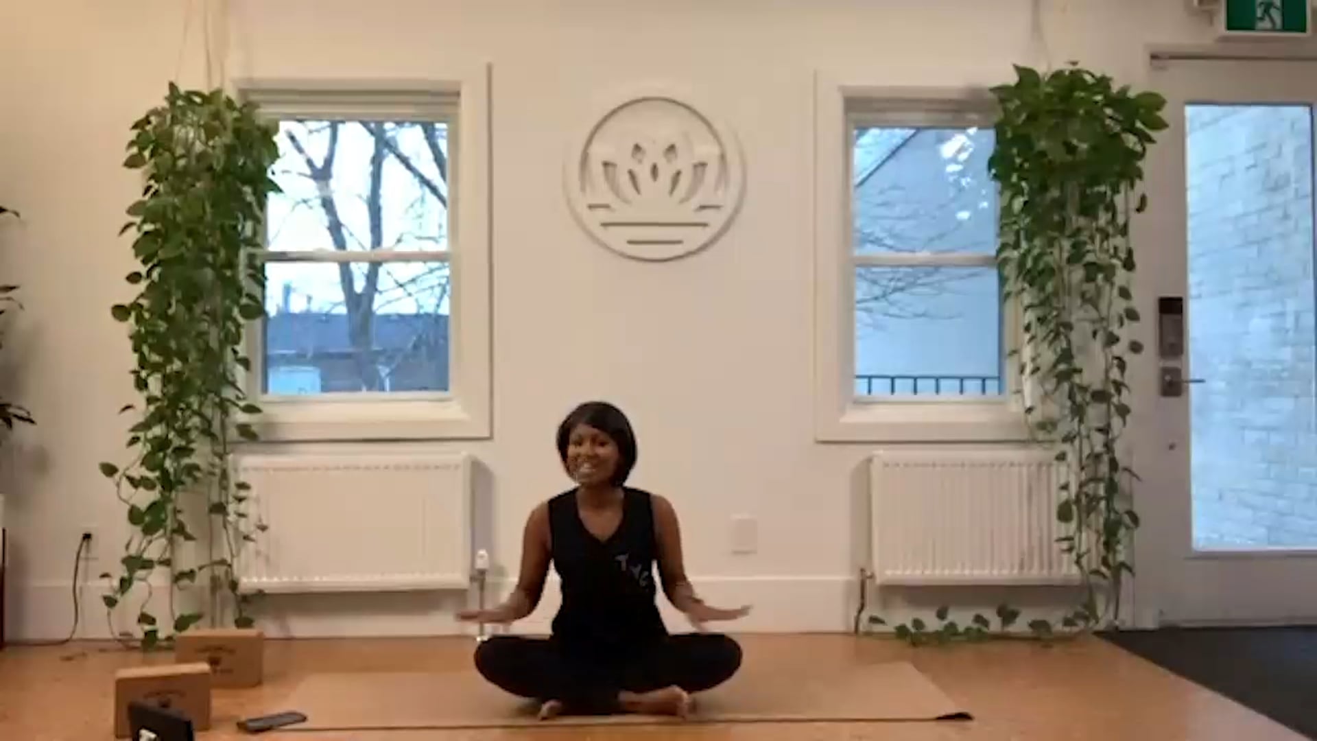 ZOOM: 20201127 - Vinyasa Flow with Caroline