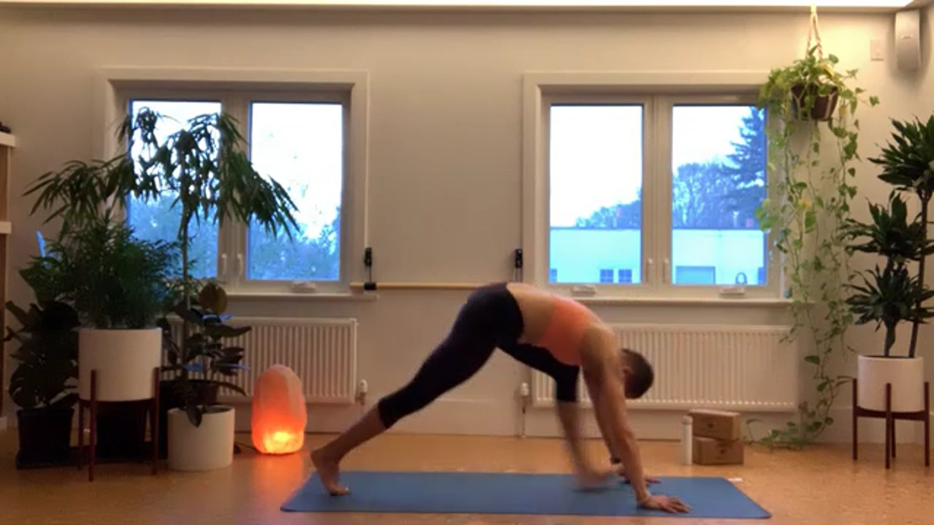 ZOOM: 20210420 - Ashtanga Half Primary with Tracy