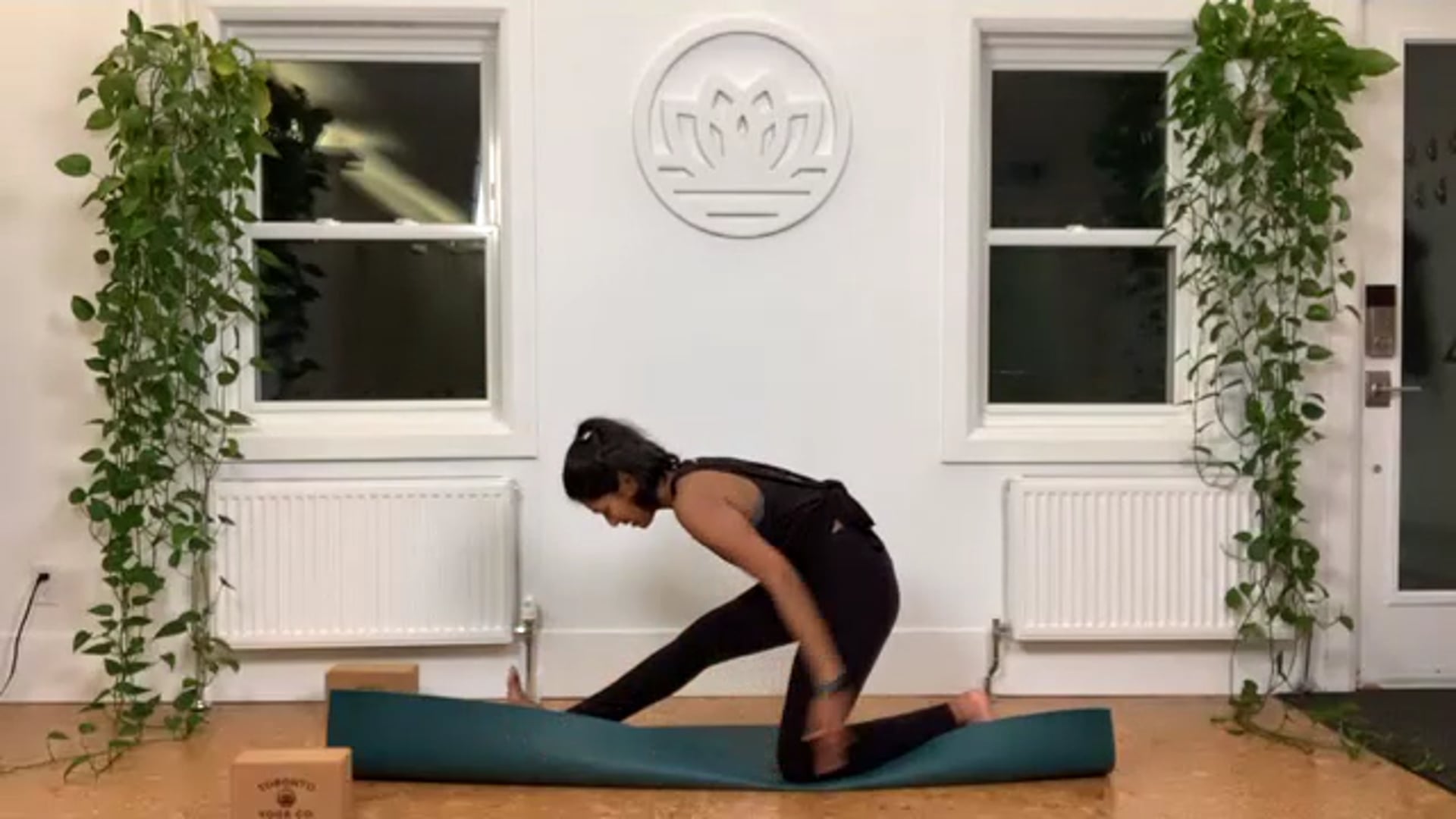 ZOOM: 20201217 - Vinyasa Flow with Caroline