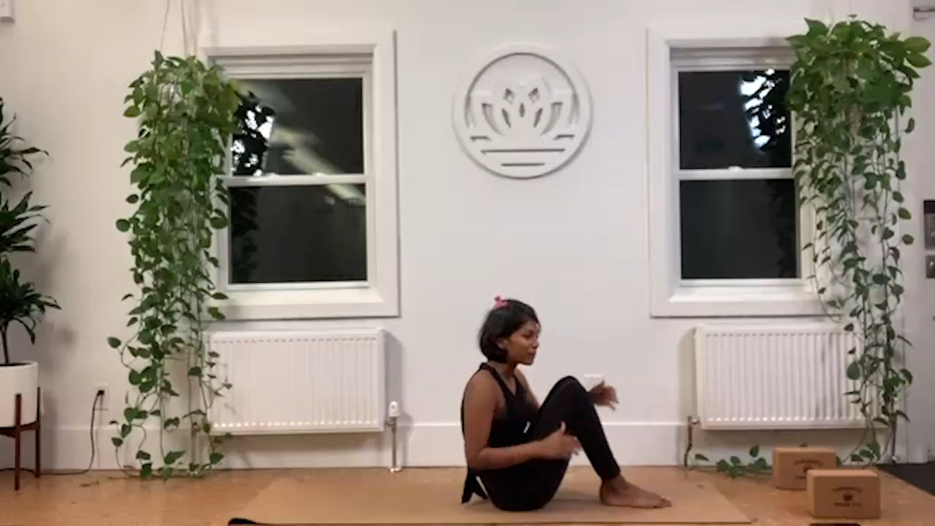 ZOOM: 20201126 - Vinyasa Flow with Caroline