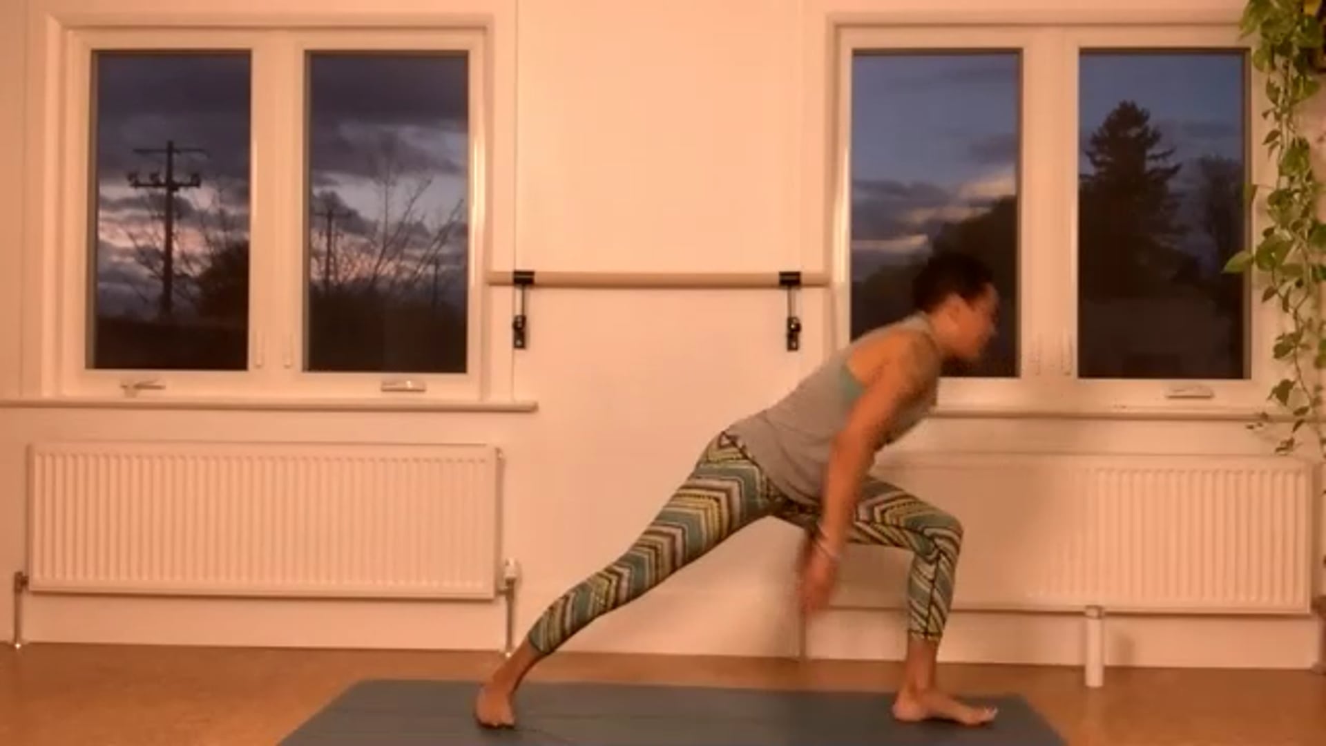 ZOOM: 20201103 - Ashtanga Half Primary with Tracy