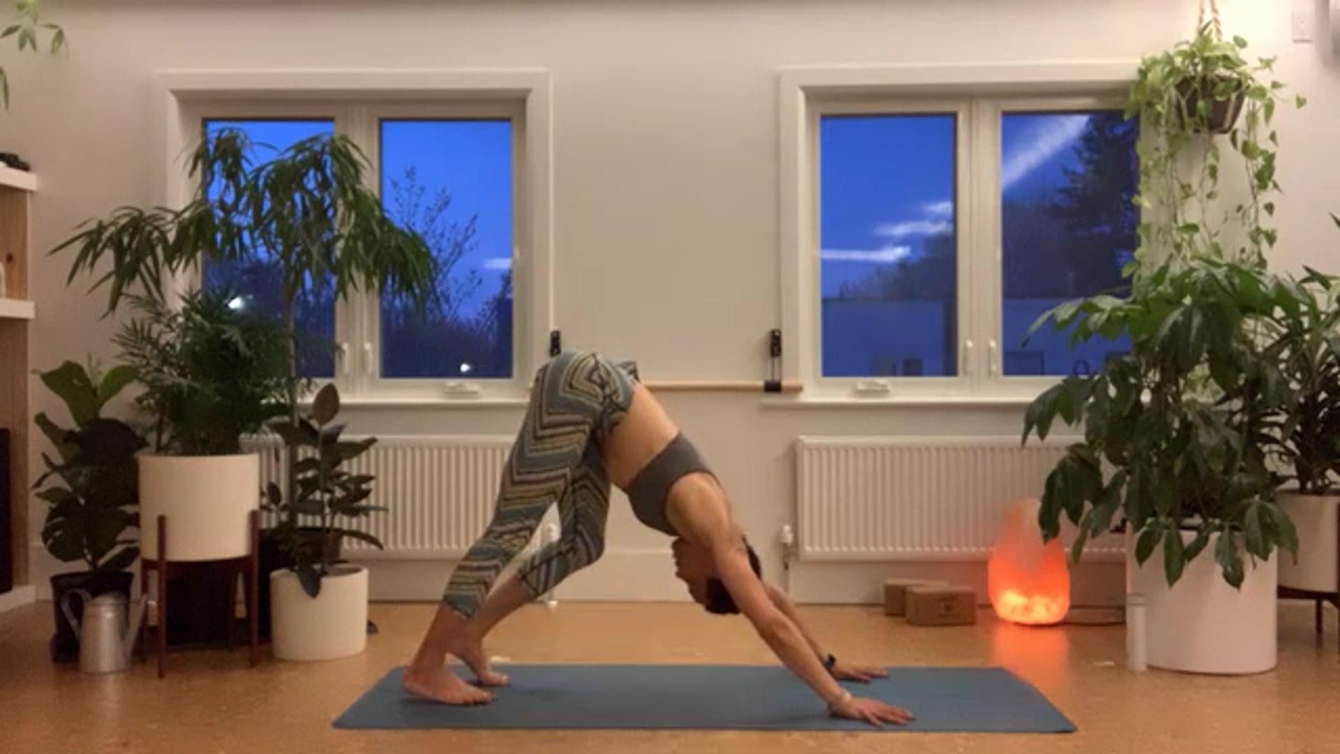 ZOOM: 20210406 - Ashtanga Half Primary with Tracy