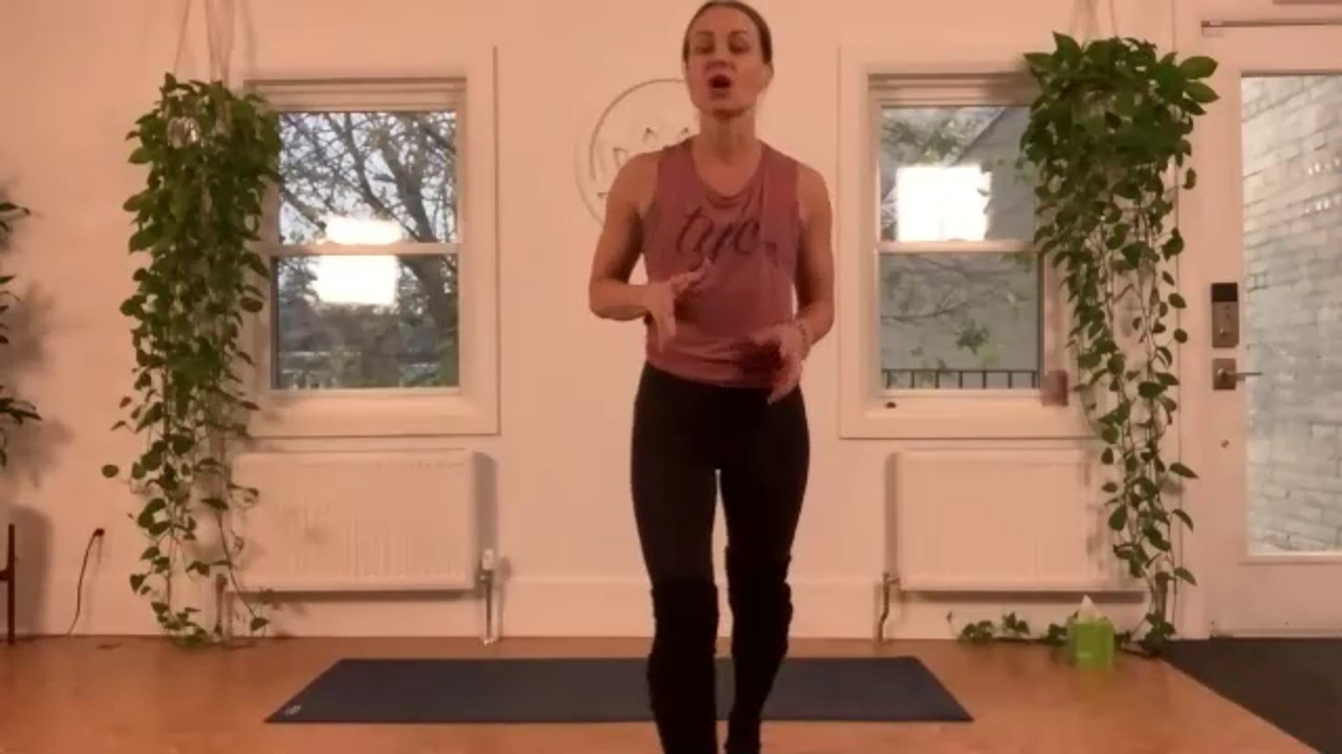 ZOOM: 20201102 - Slow Flow with Stacy