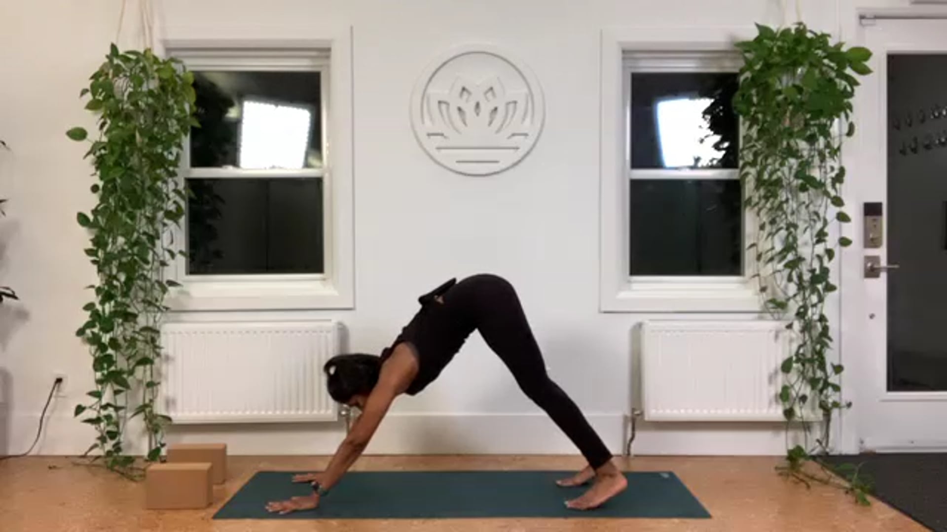 ZOOM: 20201210 - Vinyasa Flow with Caroline