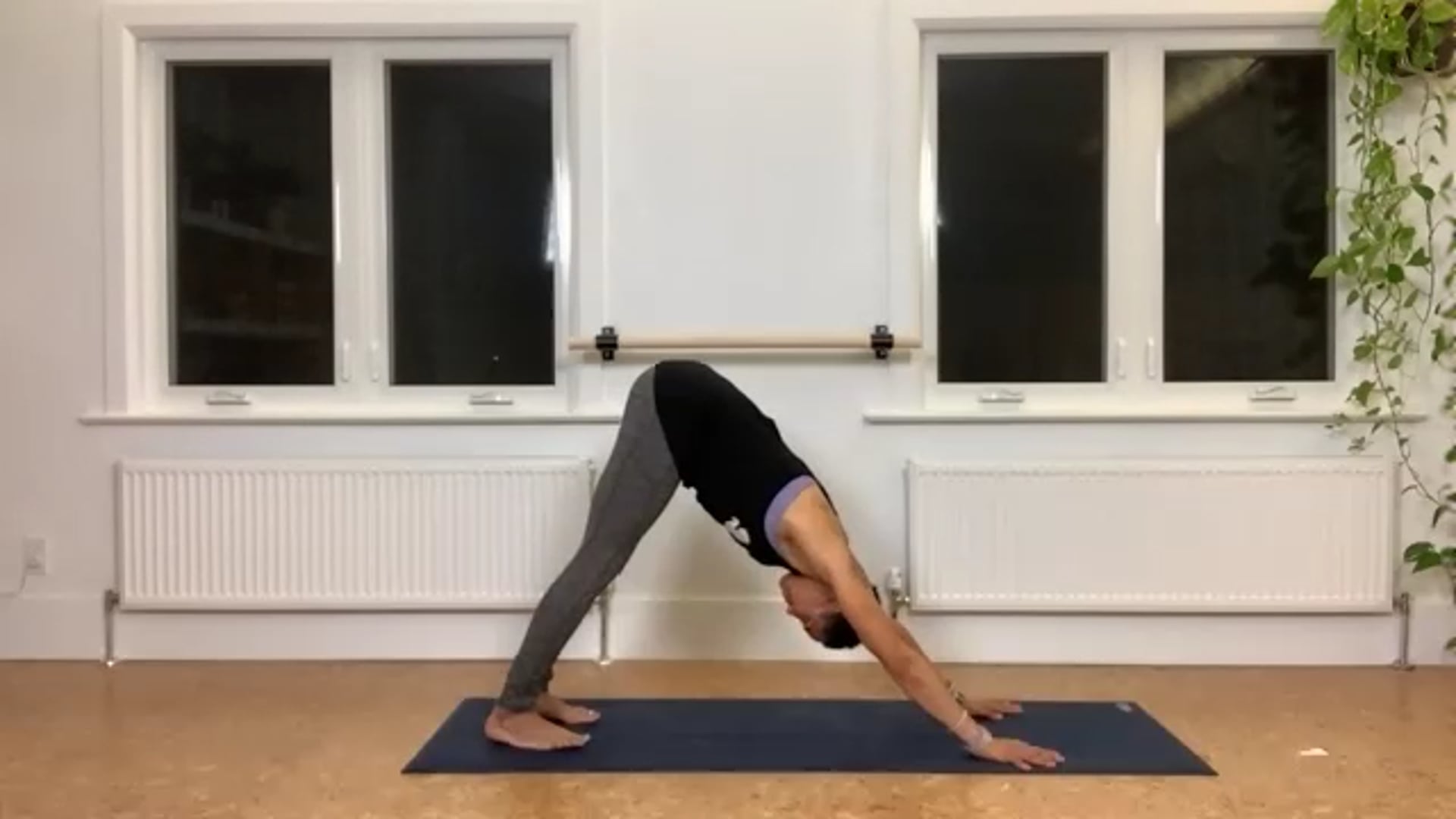 ZOOM: 20201027 - Ashtanga Half Primary with Tracy