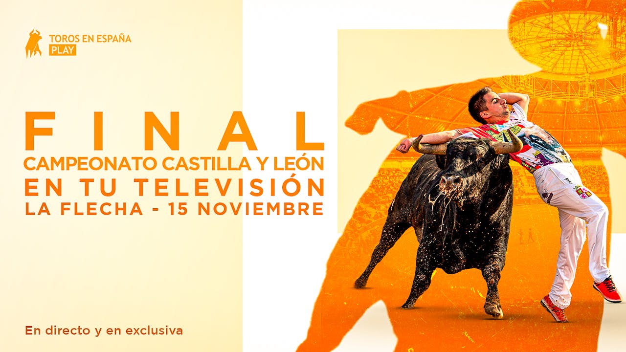 Bullfighters · La Flecha 2025