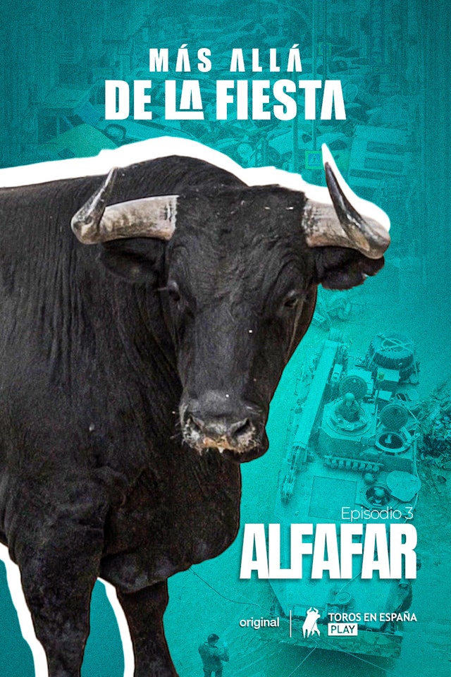 Beyond the Festival: Alfafar