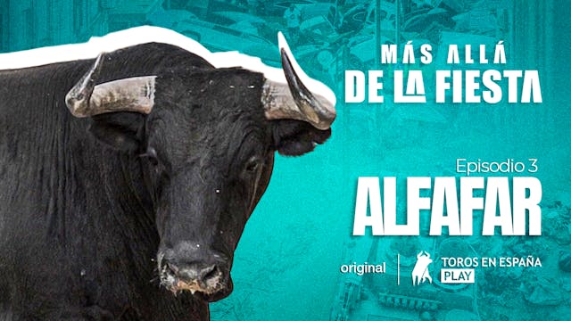 Beyond the Festival: Alfafar