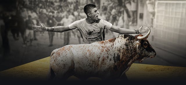 Bulls in Spain Play