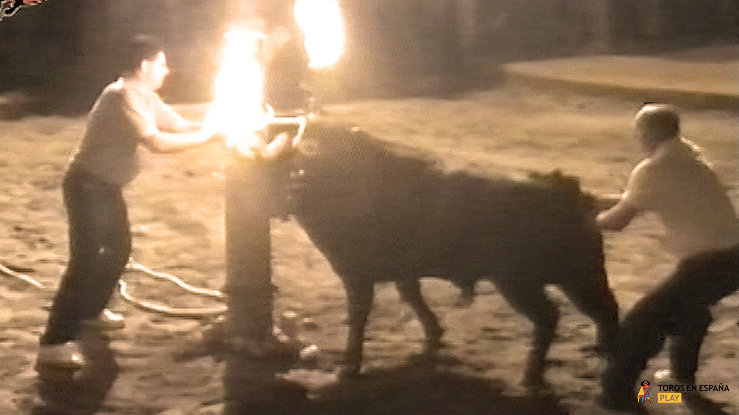 Vila-real 2002 - May Festival