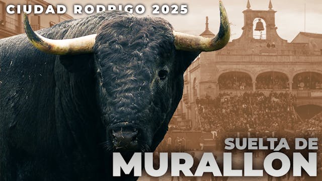 Ciudad Rodrigo - Exhibition of the bu...