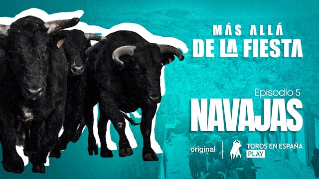 Beyond the Festival: Navajas