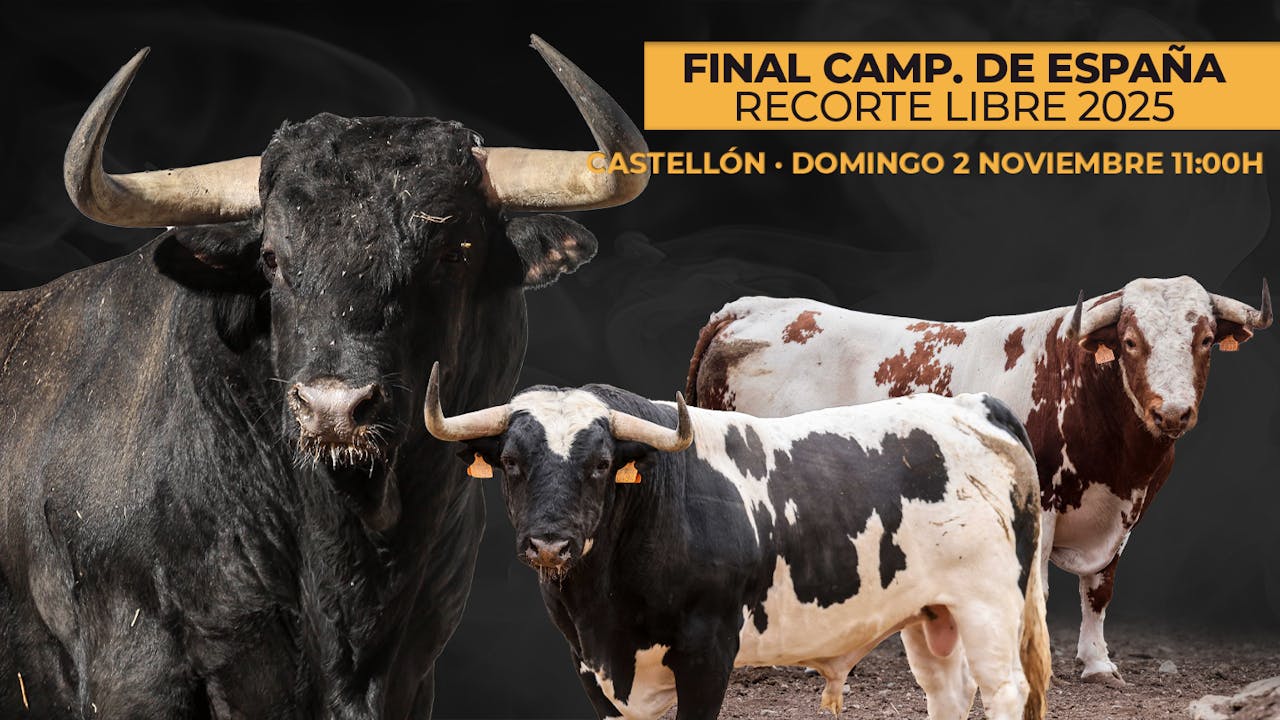 Bullfighters · Castellón