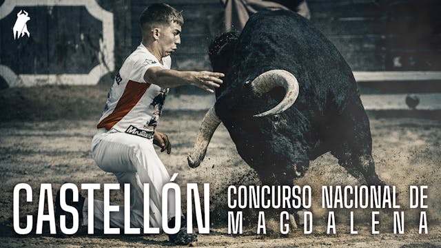 Recortadores con Toros · Castellón 2026