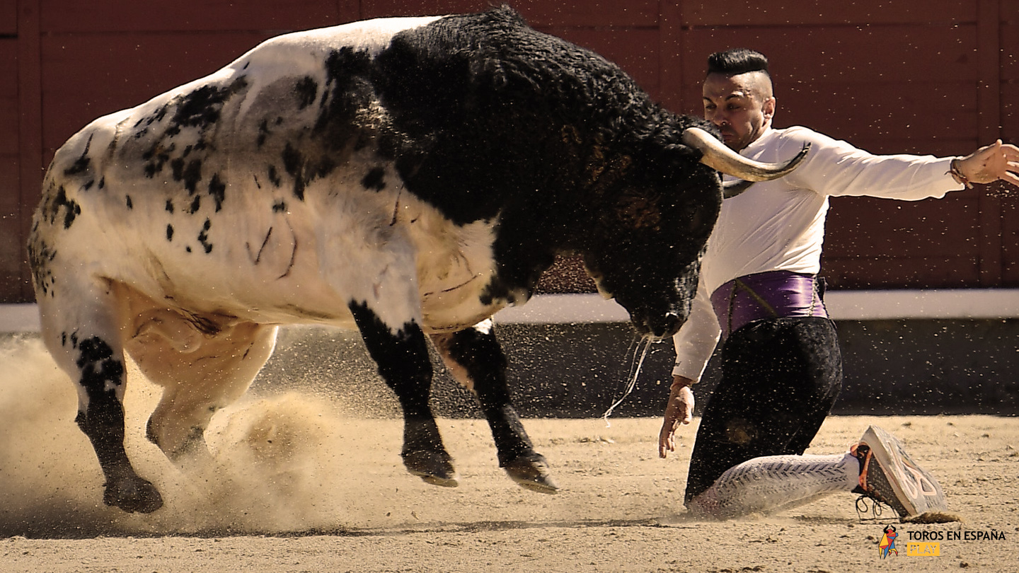 Las Ventas 2018 - Recortadores Final