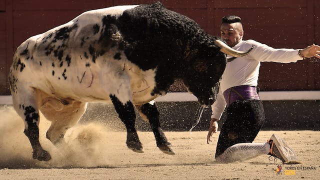 Las Ventas 2018 - Recortadores Final
