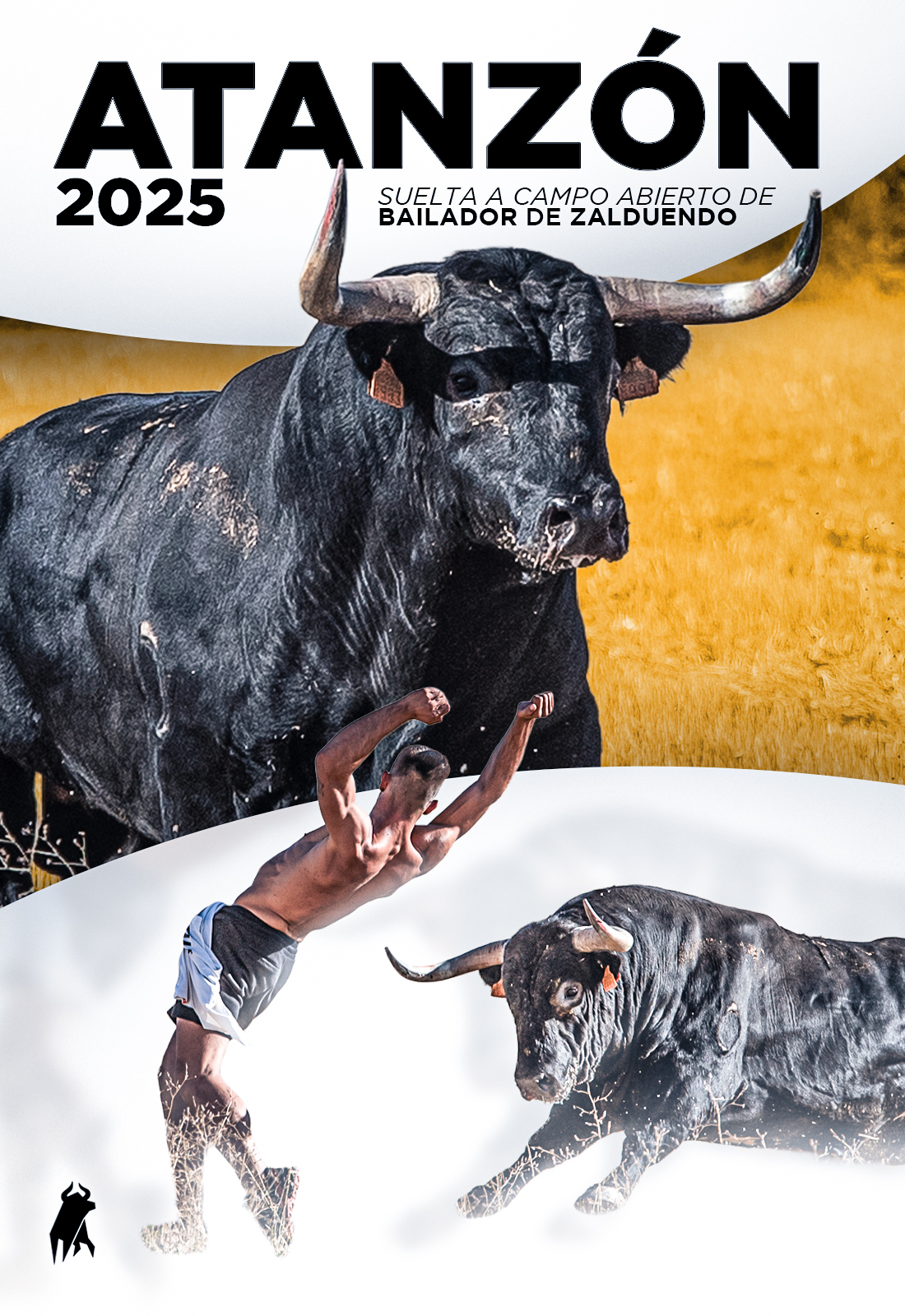 Atanzón · Release of 'Bailador' in the open field