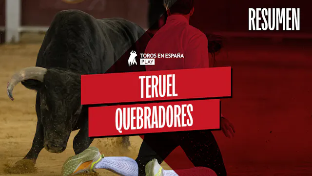Highlights | Bullfighters Competition...