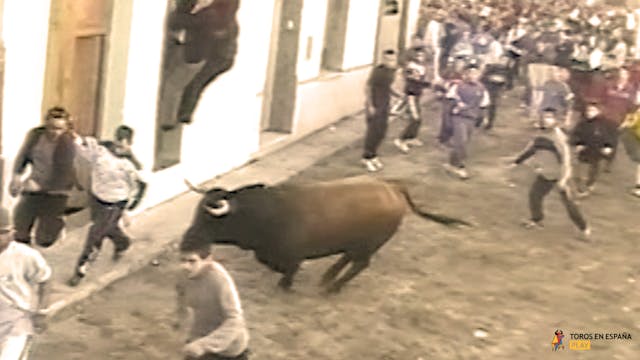 Benavites 2002 - January Bull
