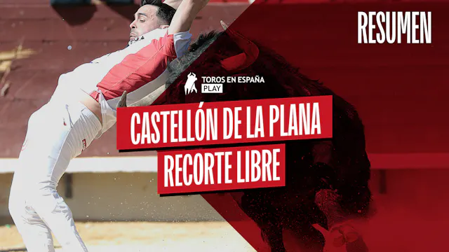 Summary | Castellón - Bullfighters 2026