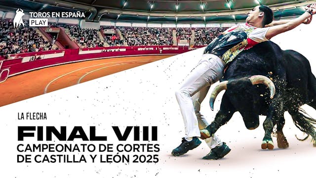 La Flecha - 2025 Bullfighter Competition