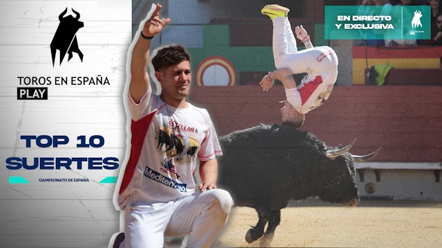 Top 10 Best Moves of 2024