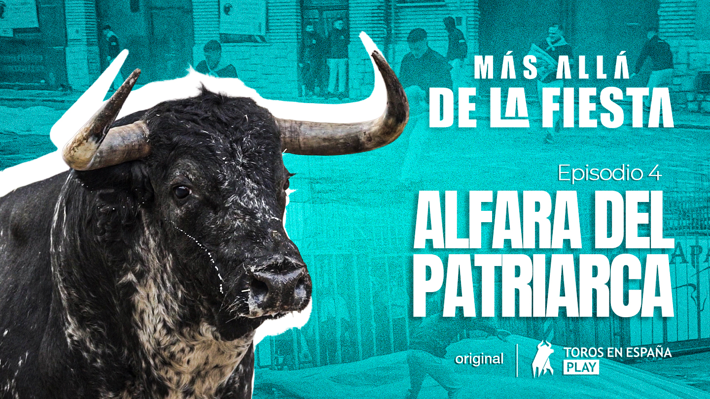 Beyond the Festivities: Alfara del Patriarca