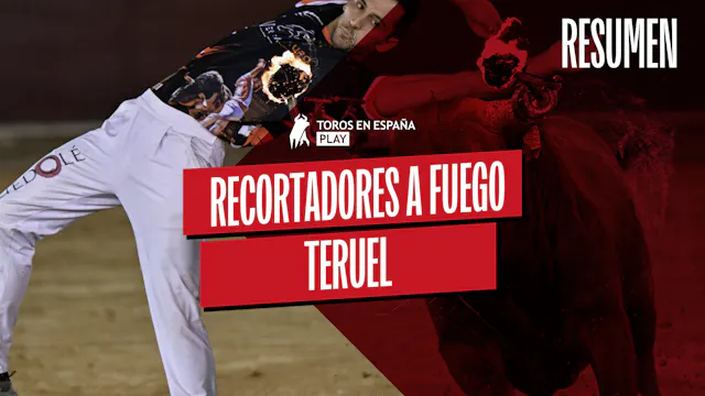 Highlights | Fire-Ball Bull Recortes ...