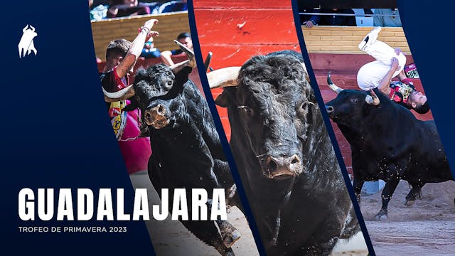 Guadalajara - 2023 Spring Trophy