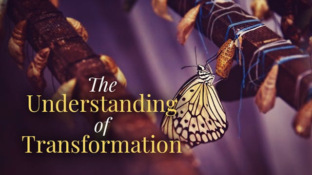 The Understanding of Transformation