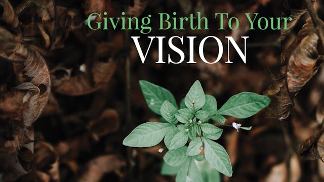 Giving Birth to Your Vision