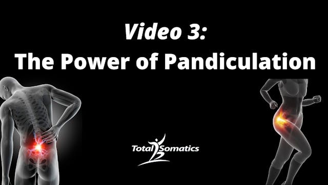 VIDEO 3 - THE POWER OF PANDICULATION