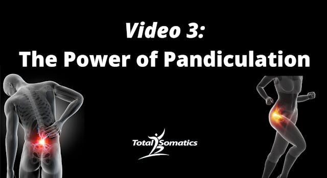 VIDEO 3 - THE POWER OF PANDICULATION