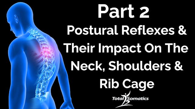 Module 2 - 3 Postural Reflexes & Their Impact On Your Neck, Shoulder & Ribs
