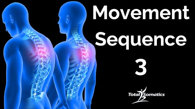 Module 3 - Movement Sequence