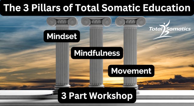 The 3 Pillars Of Total Somatic Education