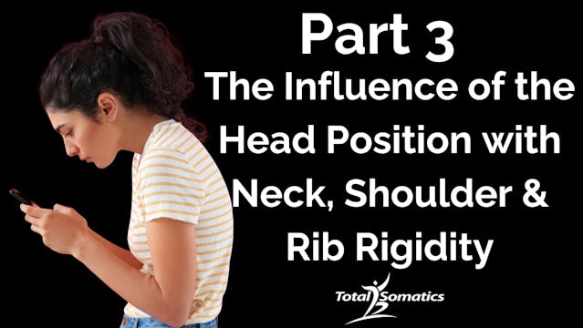 Module 3 - The Influence Of The Head ...