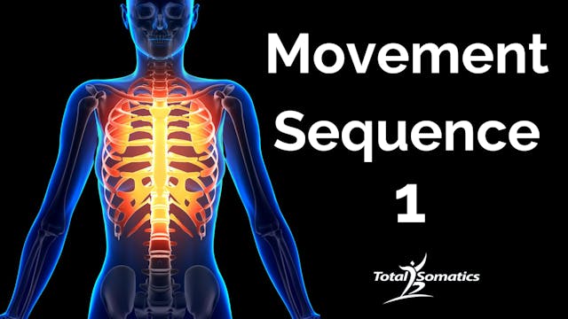 Module 1 - Movement Sequence