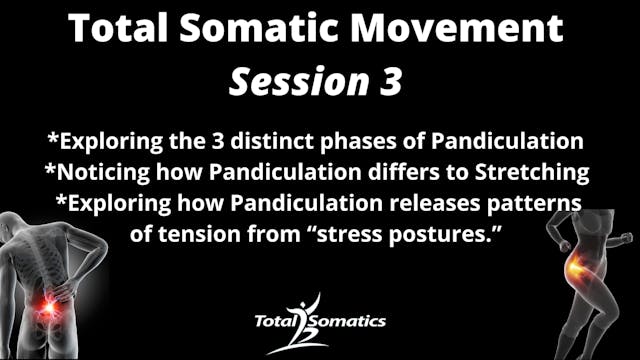 TOTAL SOMATIC MOVEMENT SESSION 3