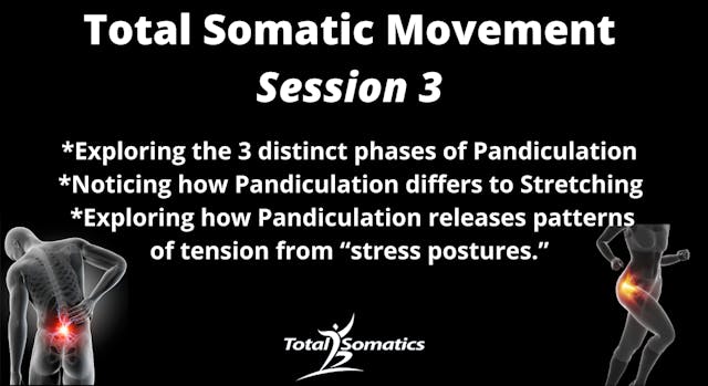 TOTAL SOMATIC MOVEMENT SESSION 3