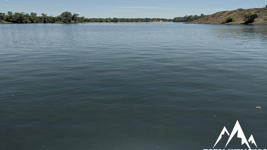 Calming Nature Videos