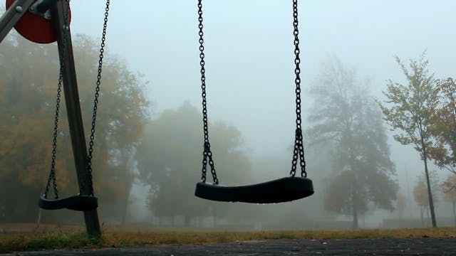 Pexels Videos 1779202